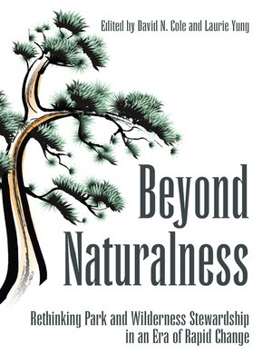 cover image of Beyond Naturalness